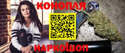 крисы Новозыбков