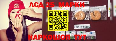 крисы Новозыбков