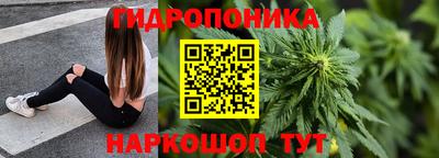 крисы Новозыбков