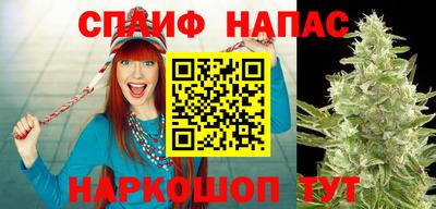 крисы Новозыбков