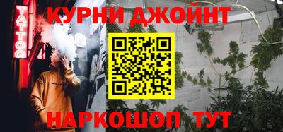 крисы Новозыбков