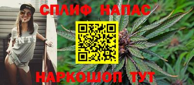 крисы Новозыбков